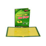 كشكول فئران