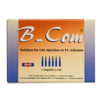 B-com 6 amp