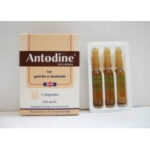 antodine 6 amp